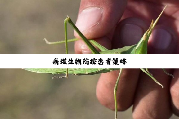 病媒生物防控患者策略