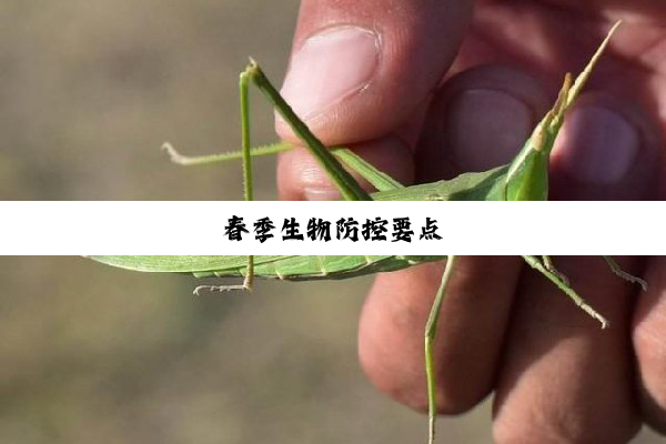 春季生物防控要点