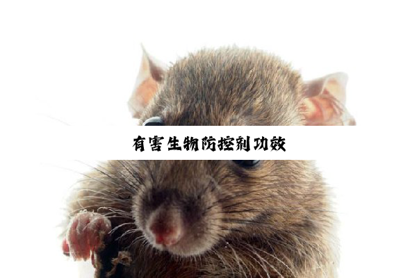 今日科普|有害生物防控剂功效