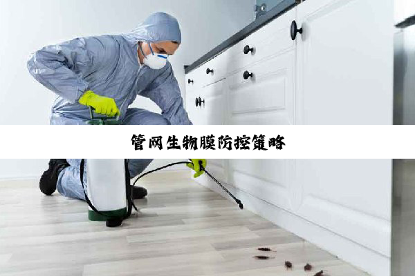 管网生物膜防控策略
