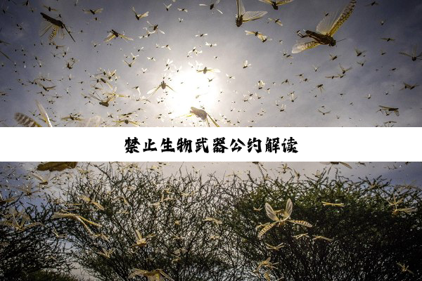 禁止生物武器公约解读