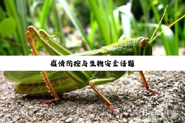 今日科普|疫情防控与生物安全话题