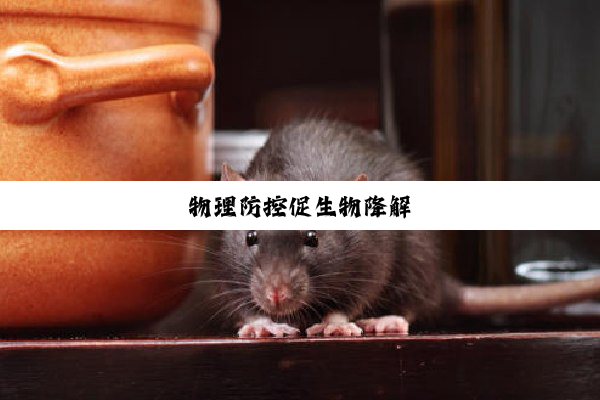 物理防控促生物降解