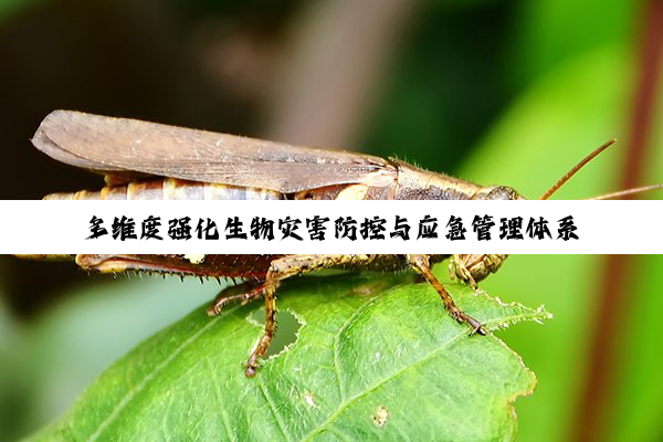 多维度强化生物灾害防控与应急管理体系建设动态概览