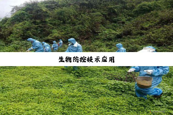 生物防控技术应用