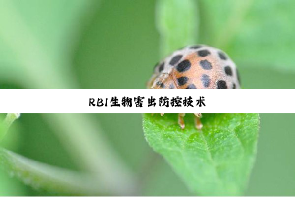 RBI生物害虫防控技术