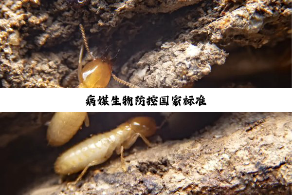 病媒生物防控国家标准