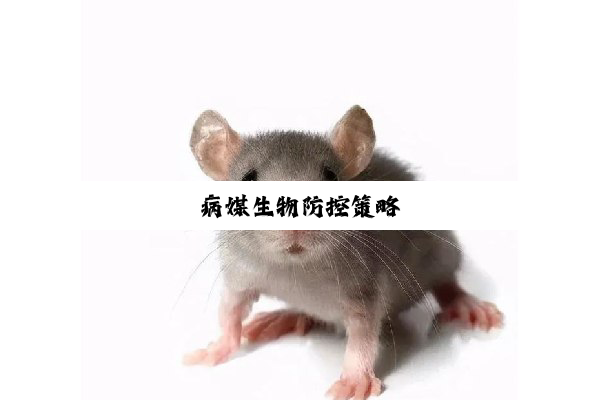 病媒生物防控策略