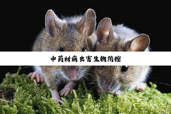 今日科普|中药材病虫害生物防控