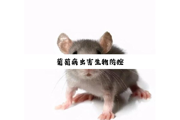 葡萄病虫害生物防控