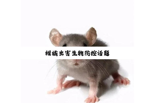今日科普|柑橘虫害生物防控话题