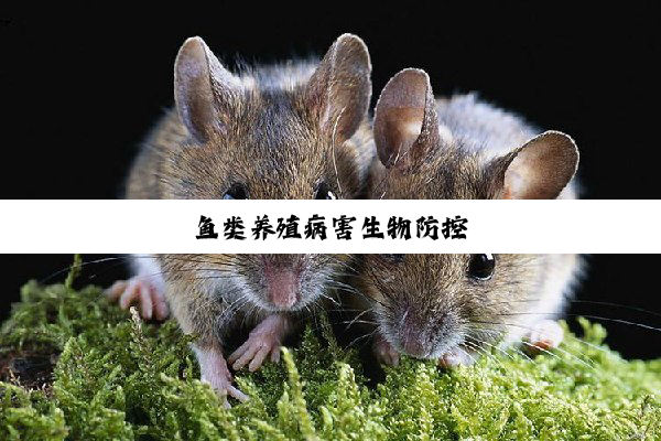 鱼类养殖病害生物防控