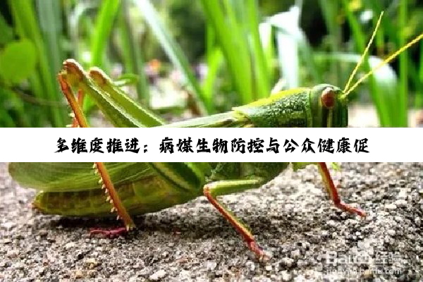 【今日要闻】多维度推进：病媒生物防控与公众健康促进的深度实践