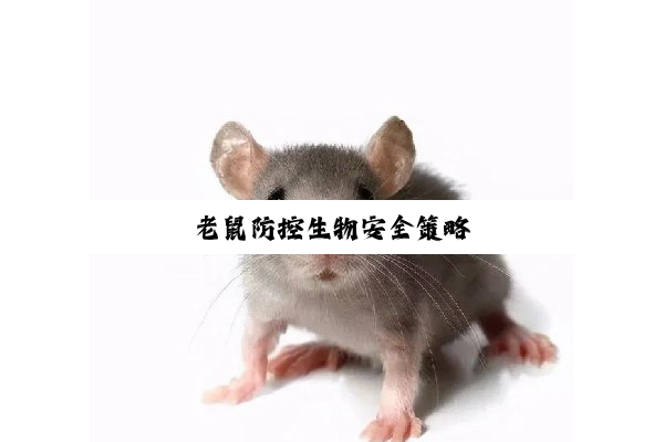 老鼠防控生物安全策略