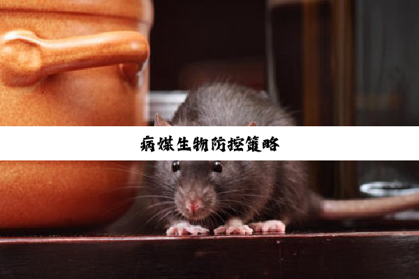 今日科普|病媒生物防控策略