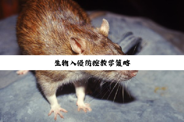 生物入侵防控教学策略