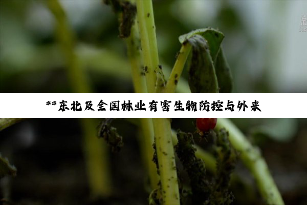 **东北及全国林业有害生物防控与外来物种管理深度剖析**