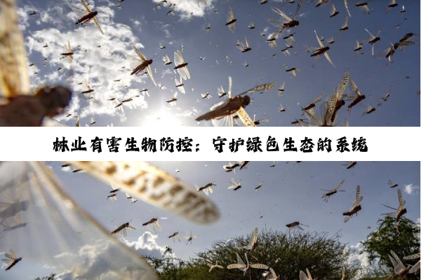 【科普解答】林业有害生物防控：守护绿色生态的系统工程