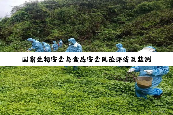 【科普解答】国家生物安全与食品安全风险评估及监测制度：法律支撑、制度架构与应急响应的深度剖析