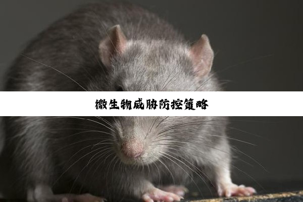 今日科普|微生物威胁防控策略