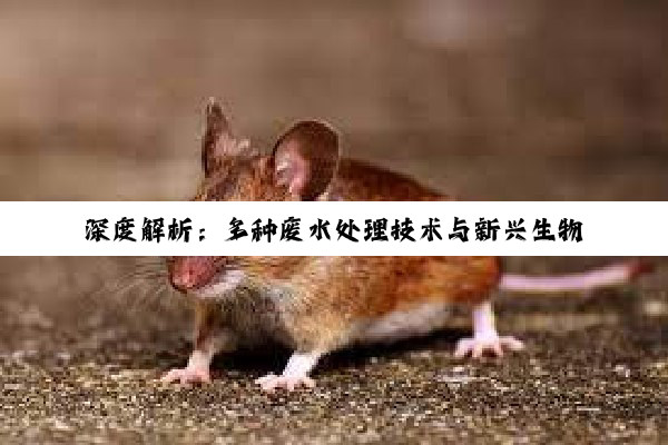 【今日要闻】深度解析：多种废水处理技术与新兴生物降解技术的前沿探索