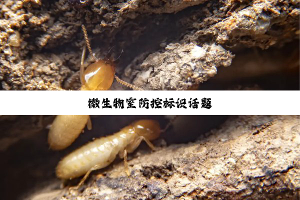 微生物室防控标识话题