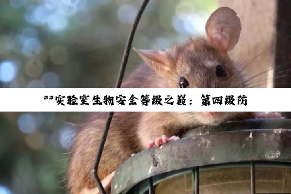 **实验室生物安全等级之巅：第四级防护的奥秘与使命**