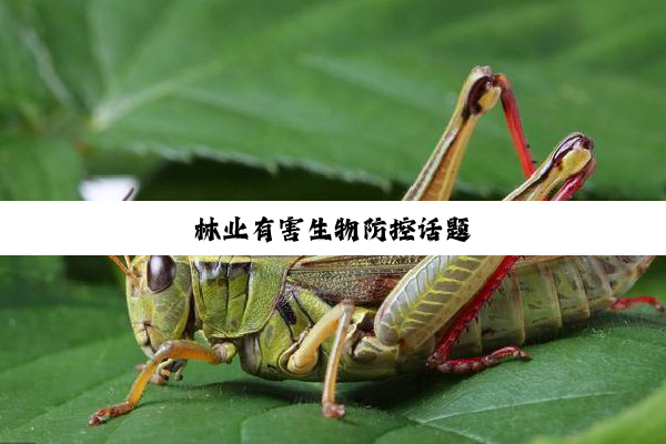 林业有害生物防控话题