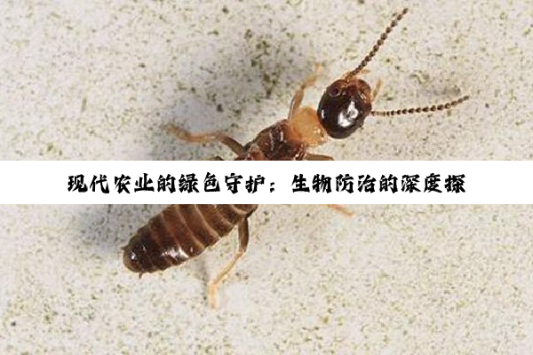 【科普解答】现代农业的绿色守护：生物防治的深度探索与实践