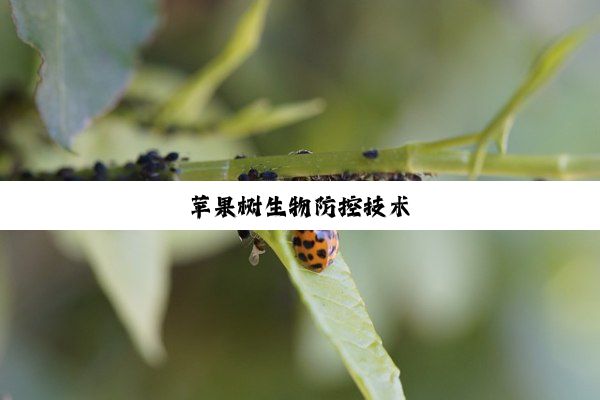今日科普|苹果树生物防控技术