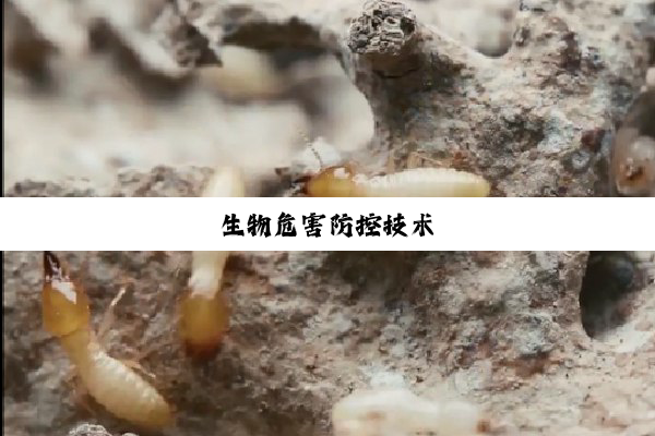 生物危害防控技术