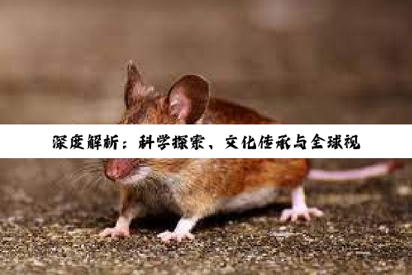 深度解析：科学探索、文化传承与全球视野下的知识传播