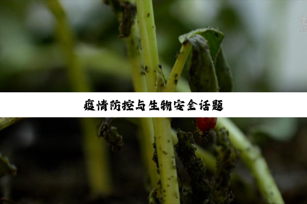 疫情防控与生物安全话题