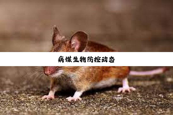 病媒生物防控动态