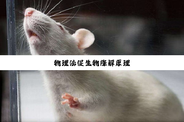 今日科普|物理法促生物降解原理