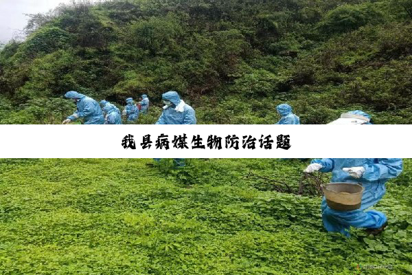 我县病媒生物防治话题