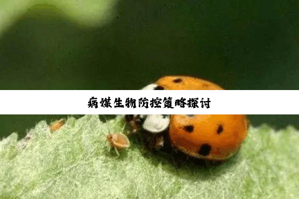 病媒生物防控策略探讨