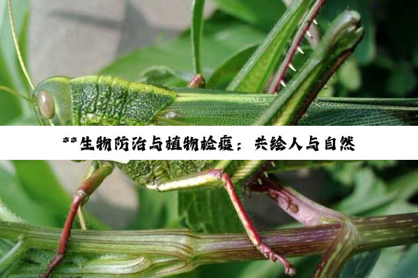 **生物防治与植物检疫：共绘人与自然和谐共生的绿色篇章**