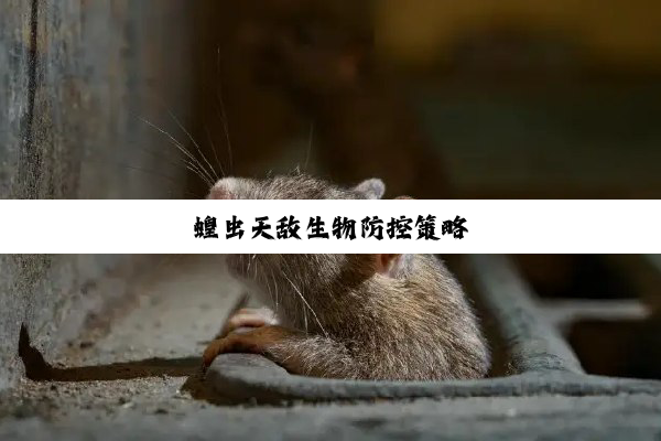 蝗虫天敌生物防控策略