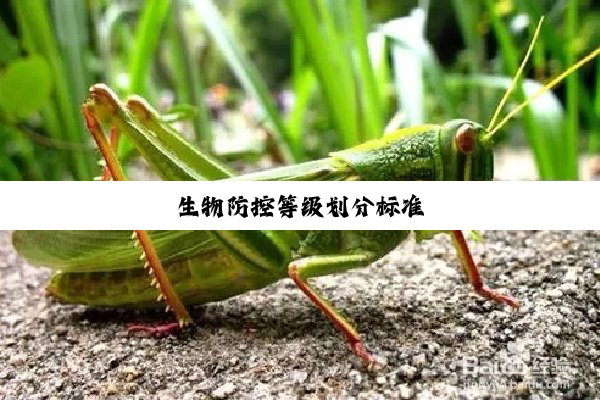 今日科普|生物防控等级划分标准
