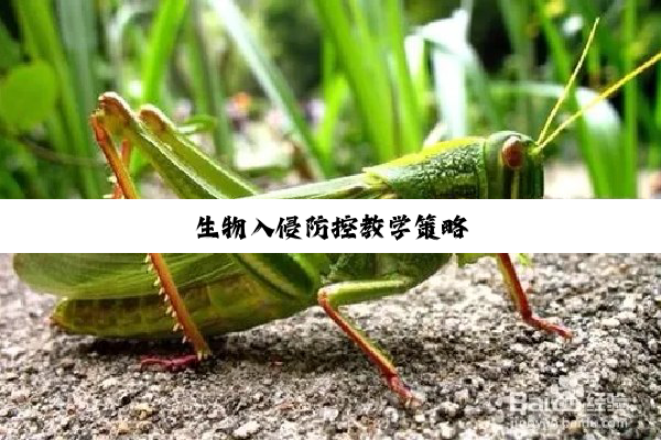 今日科普|生物入侵防控教学策略