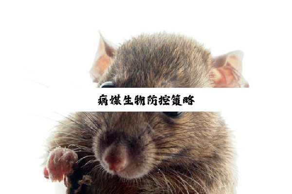 今日科普|病媒生物防控策略
