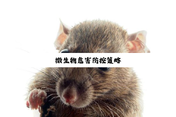 今日科普|微生物危害防控策略
