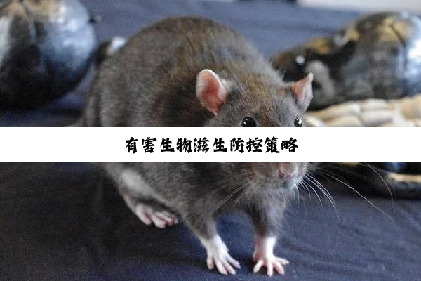 有害生物滋生防控策略