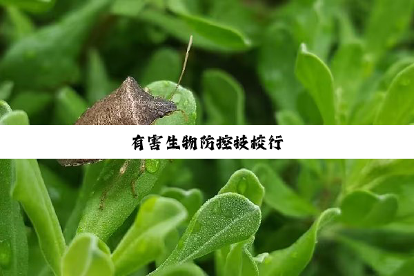 有害生物防控技校行