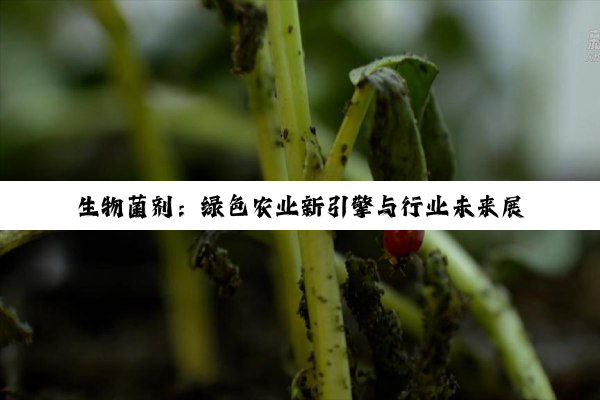 生物菌剂：绿色农业新引擎与行业未来展望