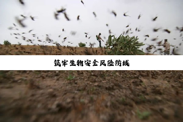 筑牢生物安全风险防线