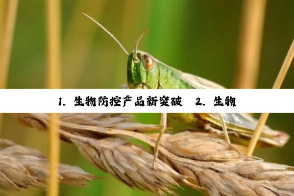 今日科普|1. 生物防控产品新突破
