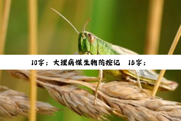 今日科普|10字：大理病媒生物防控记
