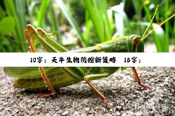 10字：天牛生物防控新策略
